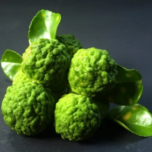 Bergamot 5